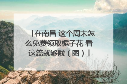 在南昌 这个周末怎么免费领取栀子花 看这篇就够啦（图）
